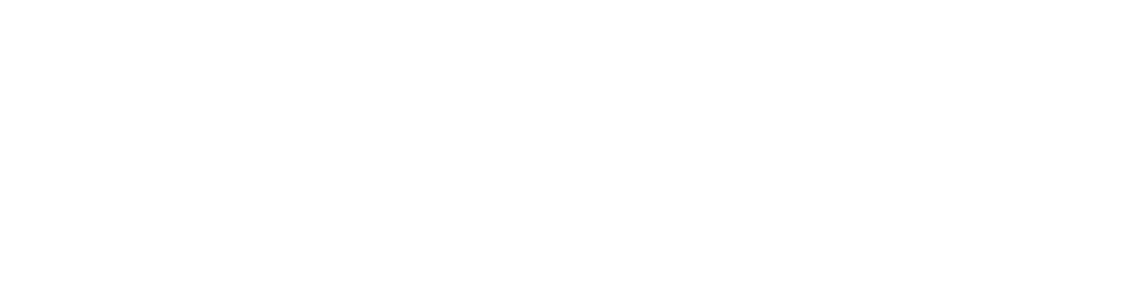 Pandally Logo
